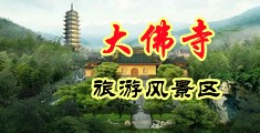 免费看美女靠逼视频的网站中国浙江-新昌大佛寺旅游风景区